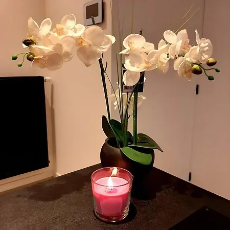 Duplex Beach House Fifty6 Appartamento Blankenberge